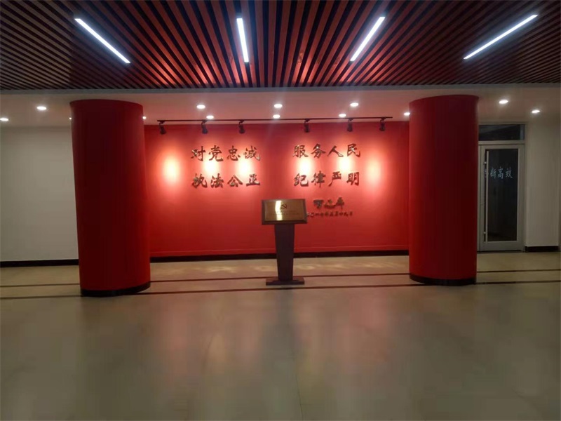沂蒙精神党建文化项目